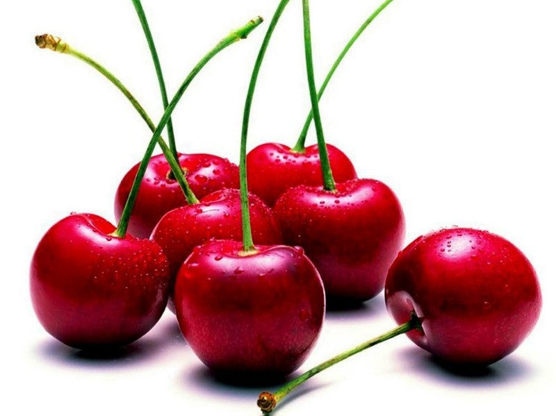 Sauna Essence 5L MORELLO CHERRY - GAIA SPA