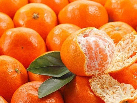 Sauna Essence 250ml MANDARIN - GAIA SPA
