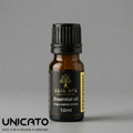 Essential Oil Peppermint | GAIA SPA