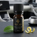 Car Aromatherapy Blend – Travel Ease, 10 ml | GAIA SPA